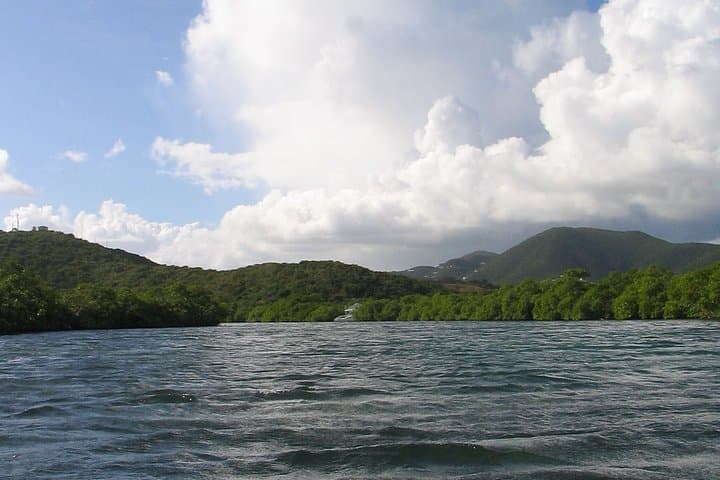 Glide the Caribbean: Stand Up Paddleboard Adventures in St Thomas photo 5