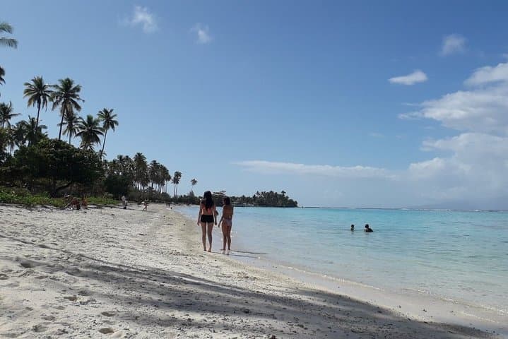 Private Moorea Day Tour: Snorkel Cook & Opunohu Bays with Stingrays and Sharks photo 5