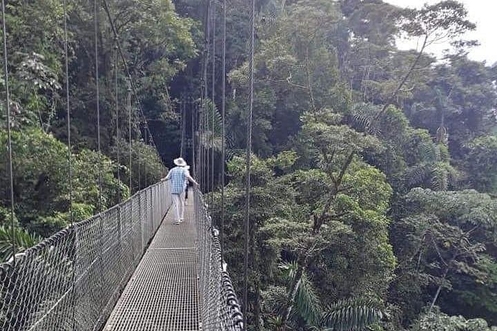 Private Hanging Bridges & La Fortuna Waterfall Day Tour with Costa Rican Lunch photo 3