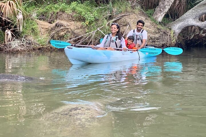 Haulover Canal Kayak Tour — Manatees, Dolphins & Mangrove Wildlife (Cocoa Beach) photo 1