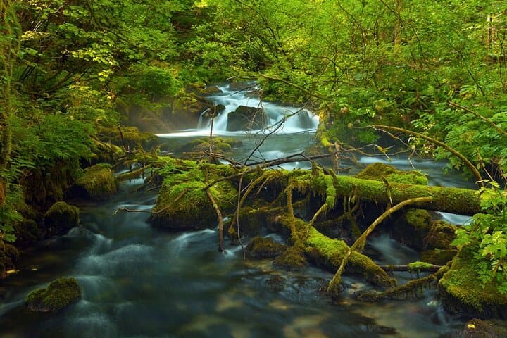 Private Plitvice Lakes Guided Walking Tour — Skip-the-Line Boat, Train & Waterfall Loop photo 4