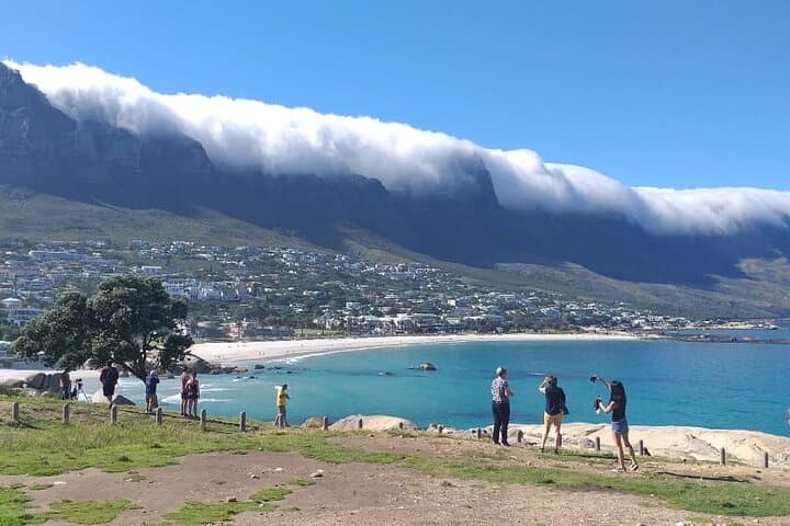 Cape of Good Hope & Boulders Beach: Full-Day Cape Peninsula Drive from Cape Town photo 3
