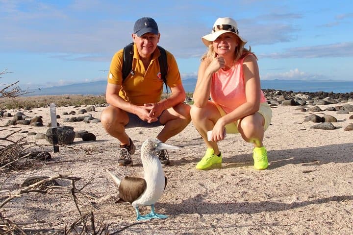 7-Day Luxury Galapagos Safari: Kicker Rock, Los Tuneles & Giant Tortoises