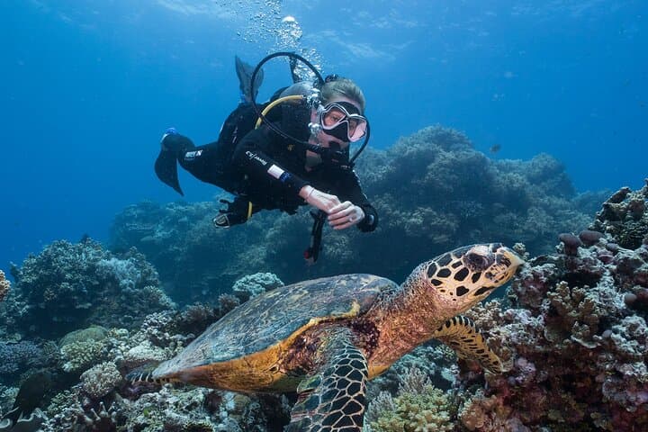 Overnight Great Barrier Reef Dive, Snorkel & Sail Aboard Coral Sea Dreaming photo 3