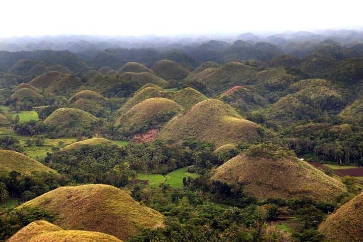 Bohol in a Day: Full-Day Excursion from Cebu to Chocolate Hills & Loboc River photo 5