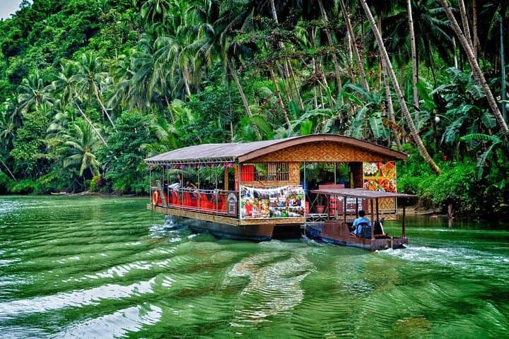 Bohol Highlights: Chocolate Hills, Tarsiers & Loboc River Lunch Cruise photo 4