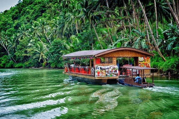 Bohol in a Day: Full-Day Excursion from Cebu to Chocolate Hills & Loboc River photo 6