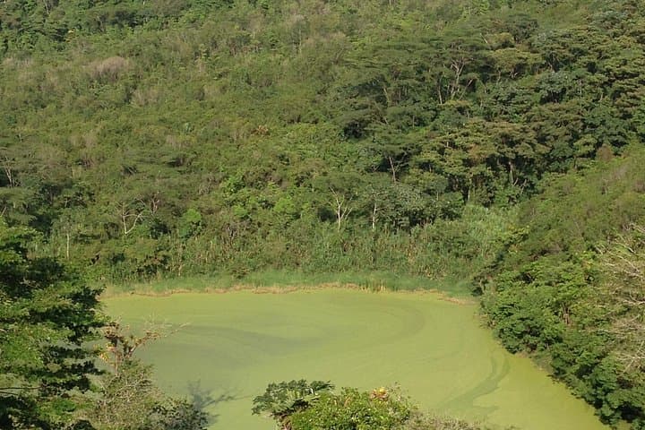 Arenal Hanging Bridges, La Fortuna Waterfall & Volcano Lava-Fields Day Trip photo 6