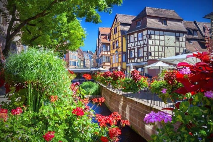 Alsace Day Tour from Colmar: Haut-Koenigsbourg, Riquewihr & Wine Route photo 6