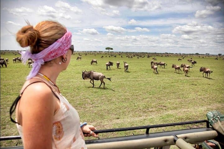 4-Day Camping Safari — Serengeti, Ngorongoro & Tarangire Wildlife Adventure photo 3