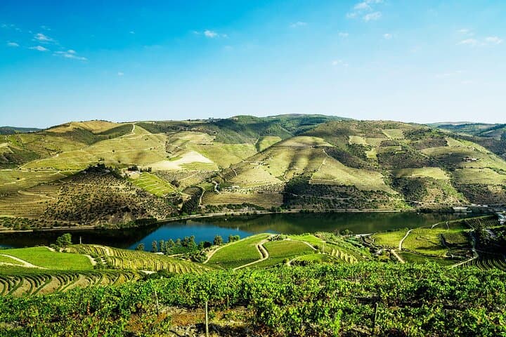 Private Douro Valley Wine Tour: 3 Wineries, Pinhão Lunch & River Views photo 5