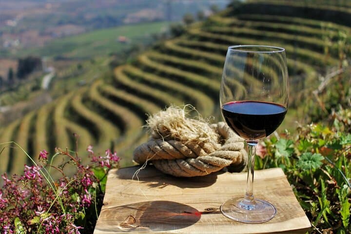 Private Douro Valley Wine Tour: 3 Wineries, Pinhão Lunch & River Views photo 3