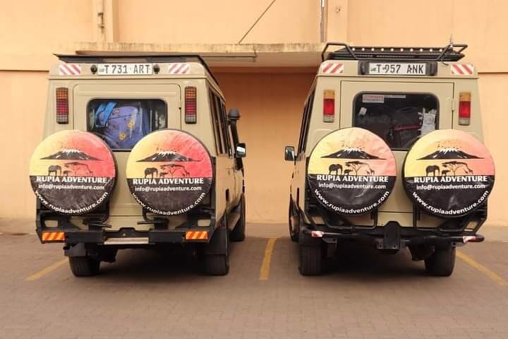 6-Day Tanzania Lodge Safari: Tarangire, Serengeti & Ngorongoro photo 3