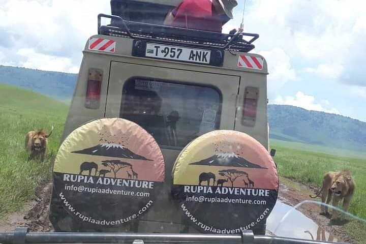 Ngorongoro Crater Day Trip: Big Five Safari from Arusha photo 2