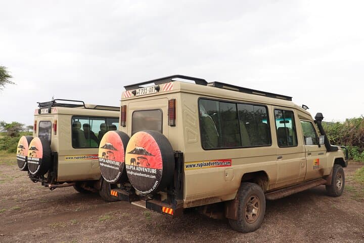 2-Day Tanzania Safari: Lake Manyara & Tarangire Game Drives from Arusha photo 3