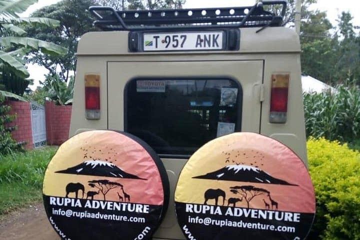 Lake Manyara Day Safari from Arusha — Tree-Climbing Lions & Flamingos photo 3