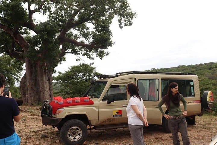 Lake Manyara Day Safari from Arusha — Tree-Climbing Lions & Flamingos photo 4