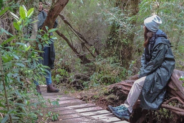 Darwin Route: Chiloe National Park and Chonchi Day Tour photo 6