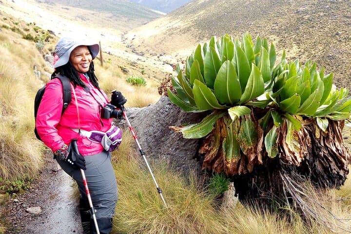 7-Day Lemosho Route: Kilimanjaro Summit via Lemosho Gate from Arusha photo 4