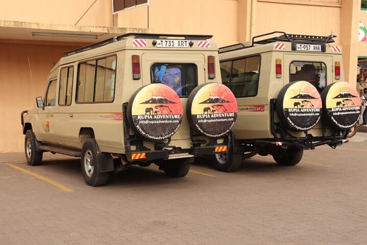 Lemosho Route Kilimanjaro: An 8-Day Summit Adventure to Uhuru Peak photo 6