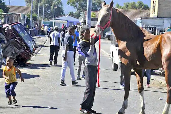 Langa Township Taster: Community Walking Tour & Development Stories in Cape Town