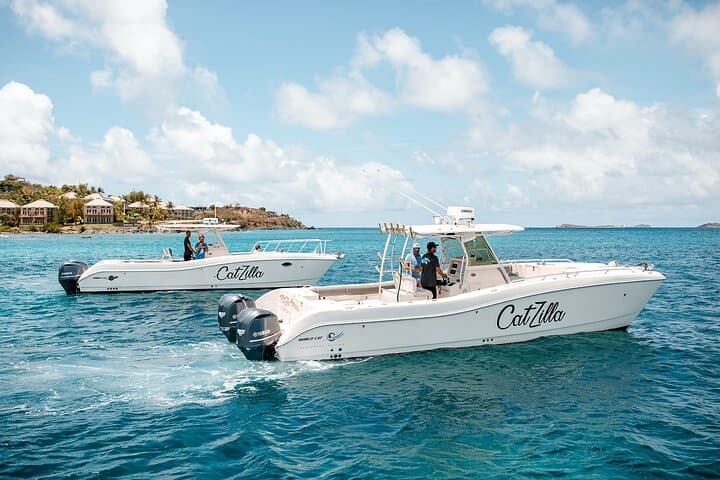 Half-Day Private Catamaran Charter from St John | Snorkel & Beach Tour photo 4
