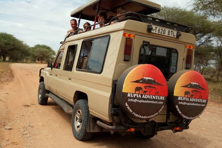 7-Day Photography Safari in Tanzania — Serengeti, Ngorongoro & Tarangire photo 6