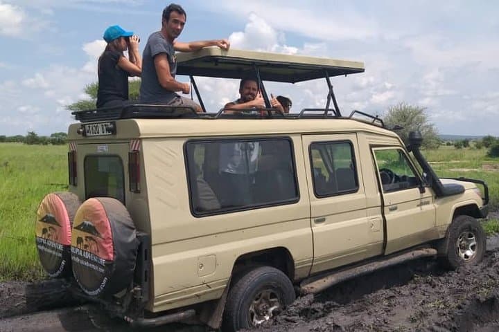 2-Day Tanzania Safari: Lake Manyara & Tarangire Game Drives from Arusha photo 6
