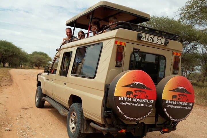 2-Day Tanzania Safari: Lake Manyara & Tarangire Game Drives from Arusha photo 5