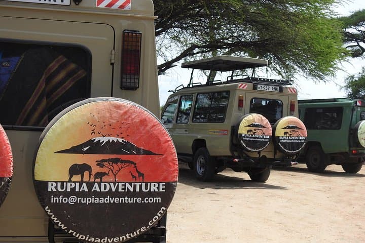 Arusha National Park Day Trip: Ngurdoto Crater, Momella Lakes & Walking Safari