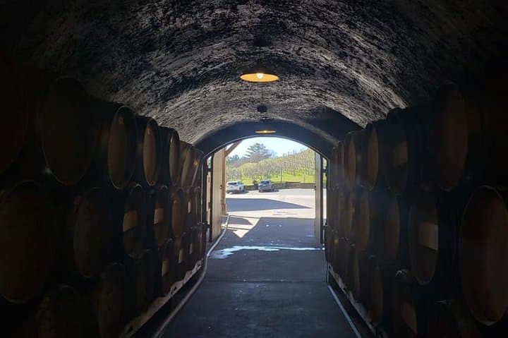 Sonoma Valley 6-Hour Private Wine Tasting Tour from San Francisco photo 4