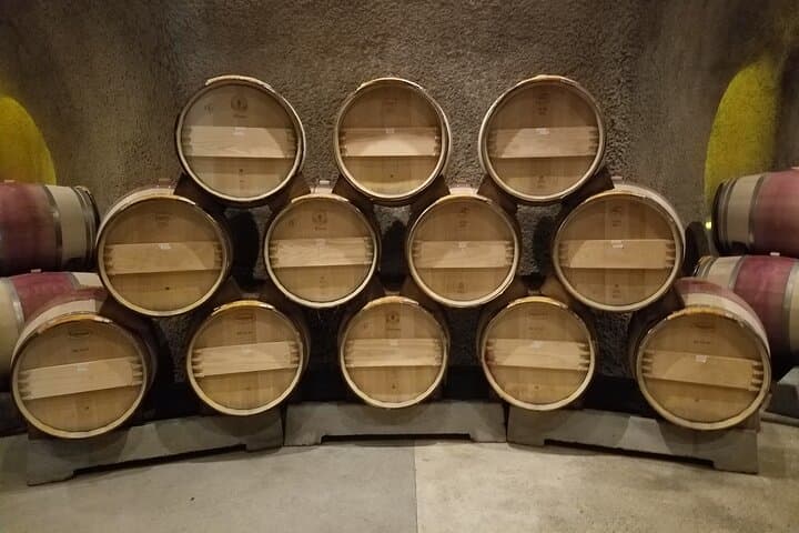 Private 8-Hour Napa and Sonoma Wine Country Tour from San Francisco photo 4