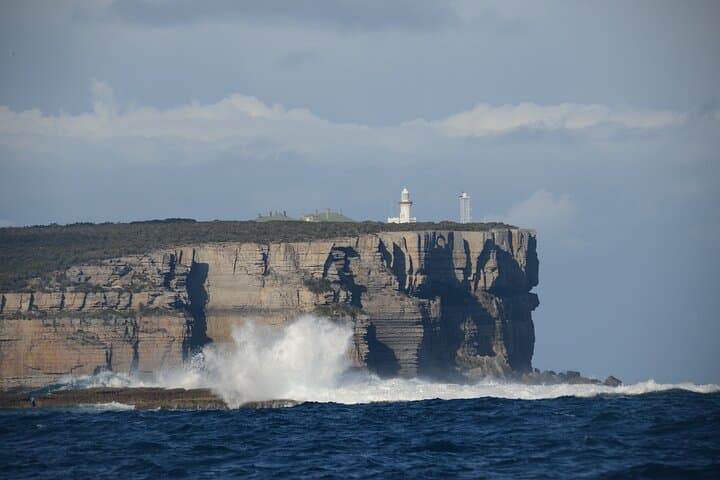 Jervis Bay Passage Tour — Hyams Beach, Point Perpendicular & Dolphin Watching Cruise photo 2