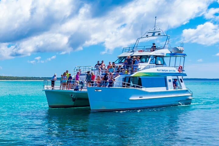 Jervis Bay Whale Watching Cruise from Huskisson — Humpback Whale Tours