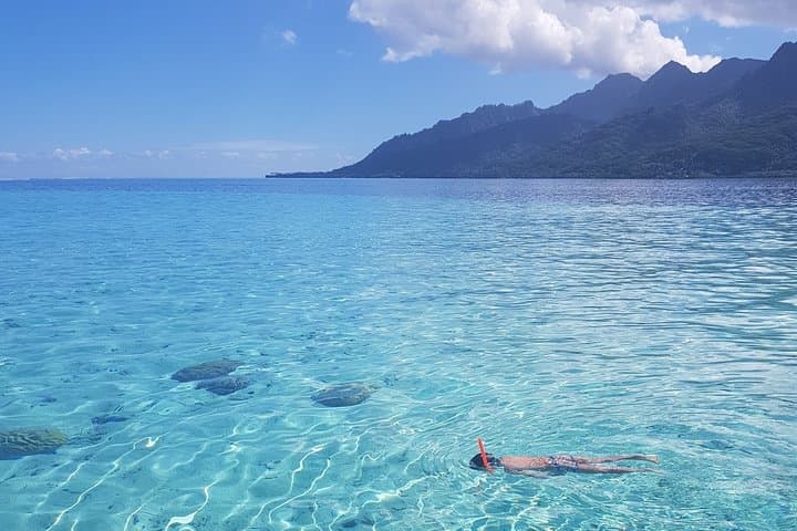 Moorea Half-Day Lagoon Snorkel: Sharks, Rays & Hidden Motu Discovery photo 6