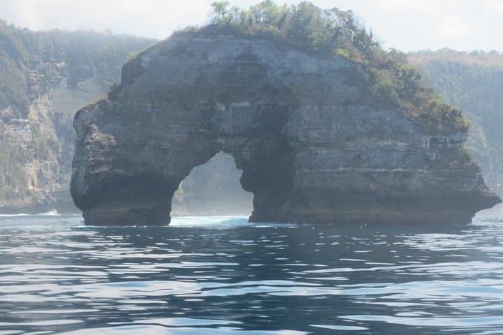 Scuba Diving Nusa Penida & Manta Point: Manta Rays, Drift Dives, and Coral photo 6