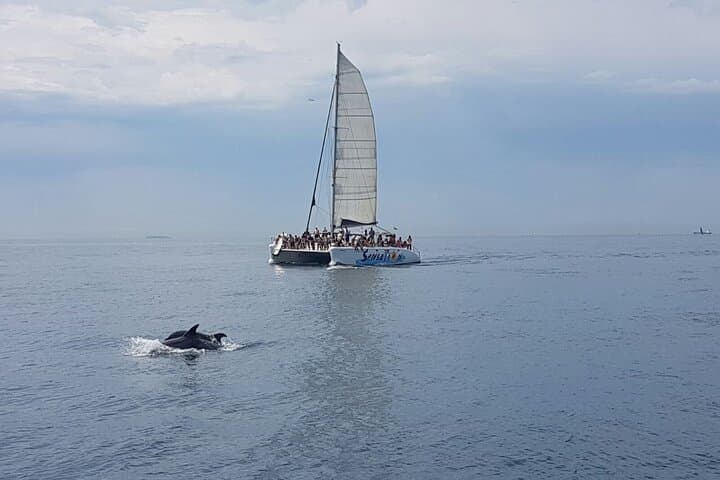 Barcelona Catamaran Party Cruise: 3-Hour Swim, Sun & Drinks photo 6