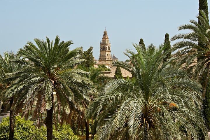 Andalusia & Mediterranean Coast: 9-Day Guided Tour from Madrid photo 5