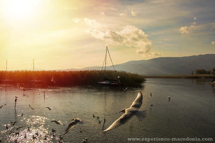 Struga Cave Churches and Vevchani Springs Tour from Ohrid — Day Trip Guide photo 2