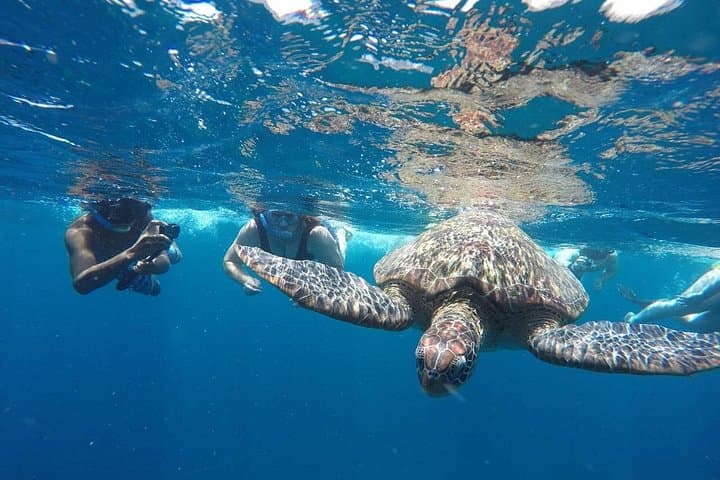 Gili Islands Snorkel Tour from Lombok — Turtles, Statues & Fish Gardens photo 4