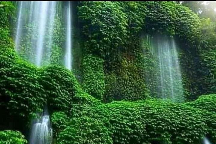 Lombok Waterfalls & Temple Day Tour — Benang Kelambu, Narmada & Lingsar photo 3