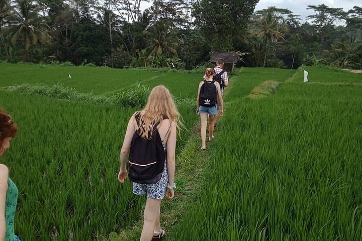 Benang Stokel & Kelambu Waterfall and Sasak Traditional Village Tour, Central Lombok photo 6
