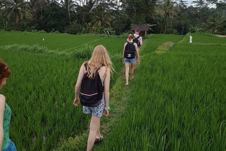 soft-trekking-tetebatu-rinjani-views-rice-fields-waterfalls photo 4