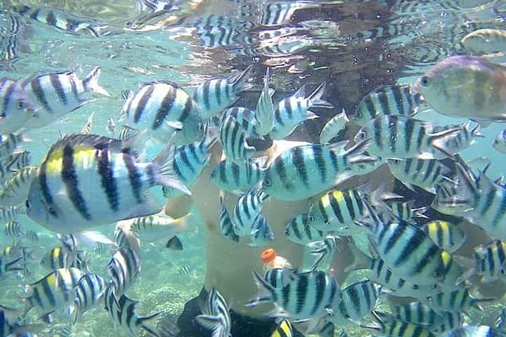 Snorkeling Gili Nanggu: Sekotong Coral Gardens & Island Hopping photo 5