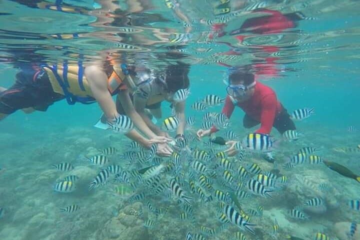 Snorkeling Gili Nanggu: Sekotong Coral Gardens & Island Hopping photo 6