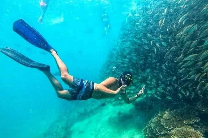 Snorkeling Gili Nanggu: Sekotong Coral Gardens & Island Hopping photo 3