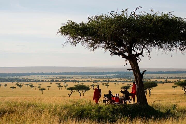 Three-Day Masai Mara Safari: Big Five, Great Rift Valley & Wildebeest Migration photo 5