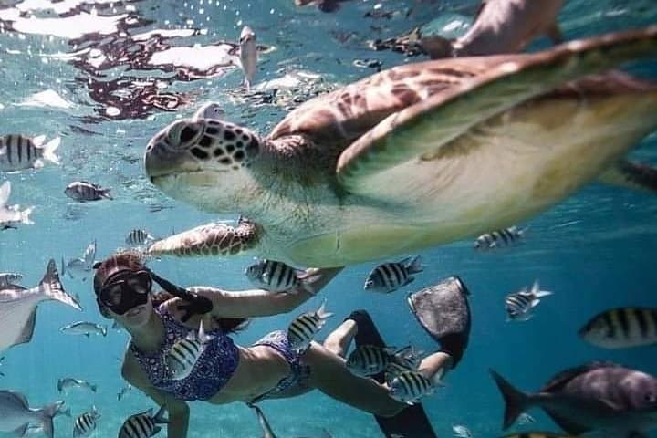 One-Day Gili Islands Snorkel: Turtles, Statues & Coral from Bali photo 4