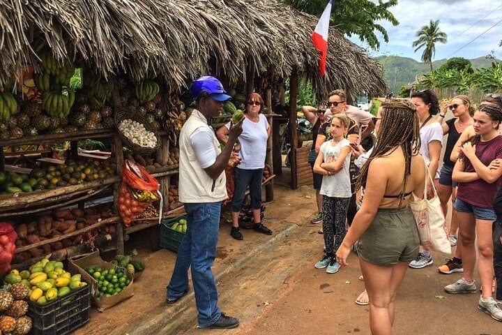 Samana Eco Paradise: Waterfalls, Horses and Cayo Levantado in a Day photo 5