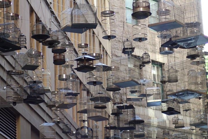 Inside Sydney: Self-Guided Scavenger Hunt Around the Opera House photo 2